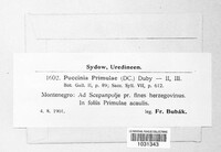 Image Associated With the Occurrence